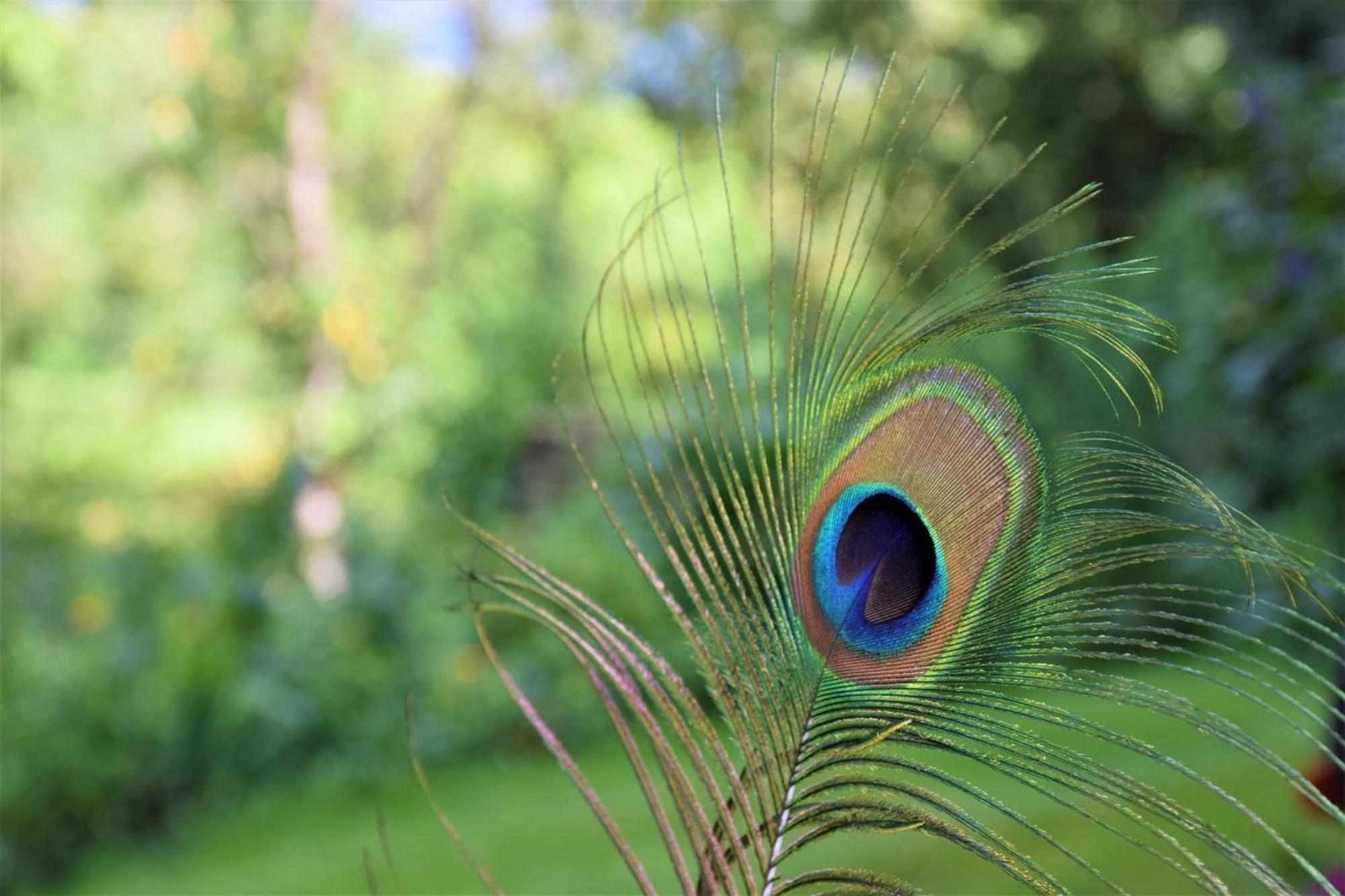 Ferienhof Unterkotgraben ชปิทัล อัม เพิร์ม ภายนอก รูปภาพ